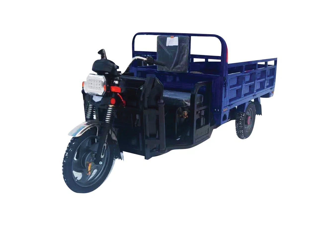 Электротрицикл Фаворит купить по выгодным ценам в Челябинске | EcoGet